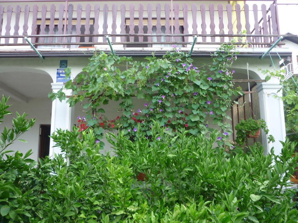 Apartment Marija סלצה חדר תמונה